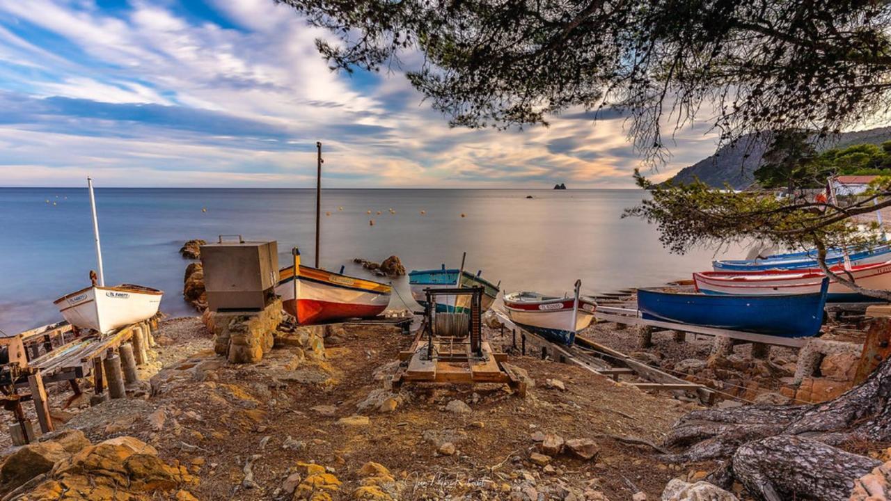 "L'Hippocampe", Climatise, 60 M2 , 2 Chambres, Tres Calme, Plage Des Sablettes Et Commerces A 3 Minutes A Pied, Wifi, Parking Gratuit, Lit King Size Ла-Сейн-сюр-Мер Экстерьер фото