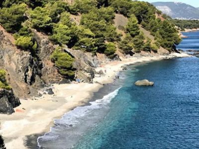 "L'Hippocampe", Climatise, 60 M2 , 2 Chambres, Tres Calme, Plage Des Sablettes Et Commerces A 3 Minutes A Pied, Wifi, Parking Gratuit, Lit King Size Ла-Сейн-сюр-Мер Экстерьер фото