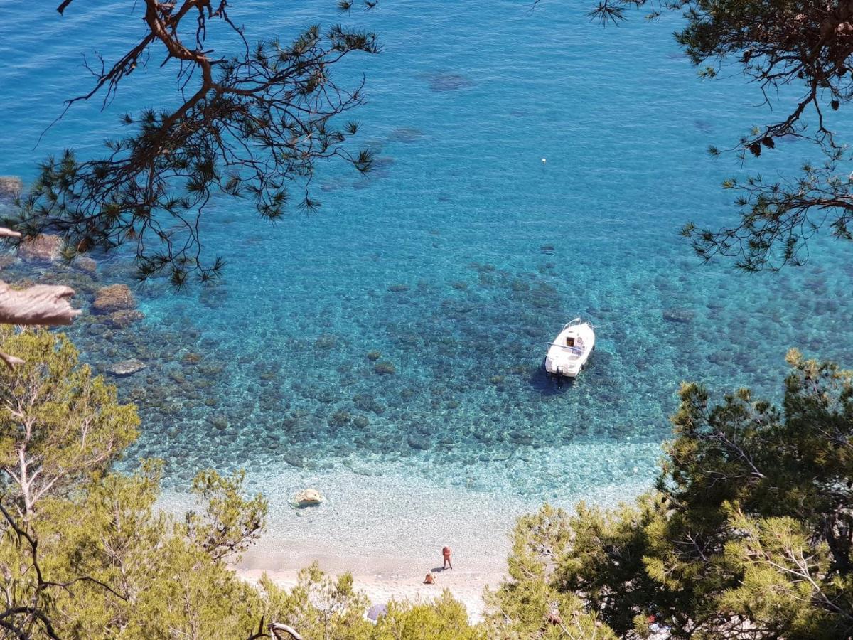 "L'Hippocampe", Climatise, 60 M2 , 2 Chambres, Tres Calme, Plage Des Sablettes Et Commerces A 3 Minutes A Pied, Wifi, Parking Gratuit, Lit King Size Ла-Сейн-сюр-Мер Экстерьер фото