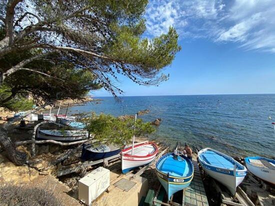 "L'Hippocampe", Climatise, 60 M2 , 2 Chambres, Tres Calme, Plage Des Sablettes Et Commerces A 3 Minutes A Pied, Wifi, Parking Gratuit, Lit King Size Ла-Сейн-сюр-Мер Экстерьер фото